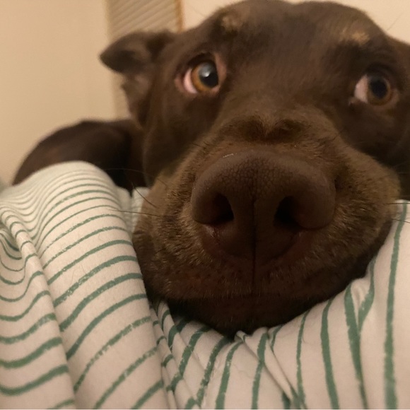 Meet your Posher, Alexis - Picture 7 of 9